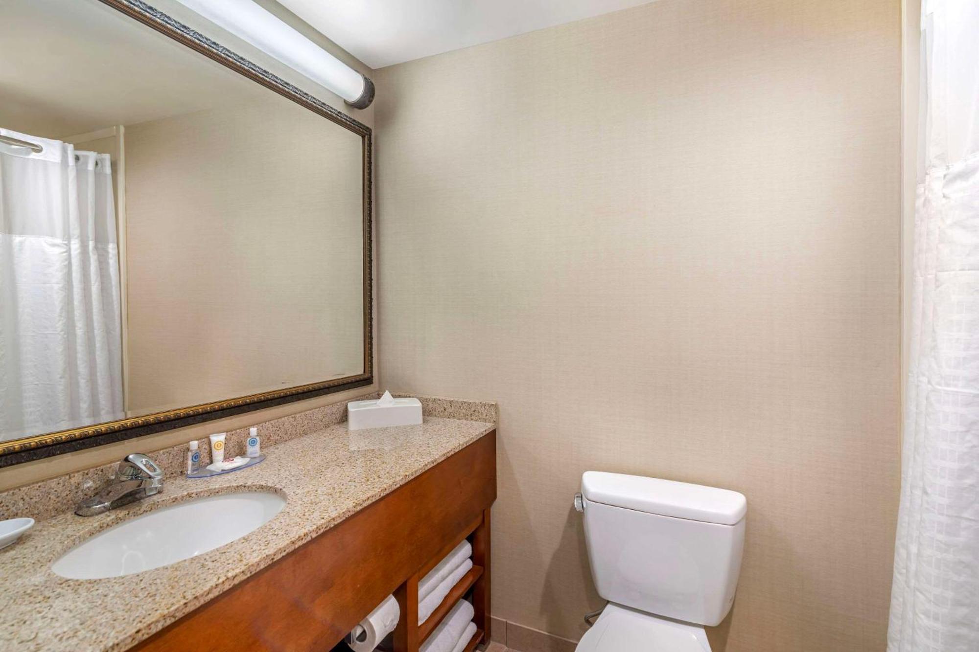 Comfort Inn & Suites Dover-Portsmouth Ngoại thất bức ảnh